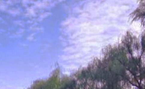 ���F�о�ɫ������300��