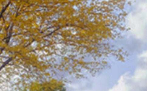 ������Č���ɫ����