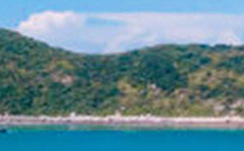 �茑(xi��)���侰ɫ��С�W(xu��)����