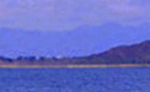 描寫大連景色的作文范本