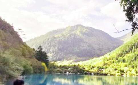 �����ľ�կ������600�ַ���