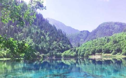 九寨溝游記小學(xué)作文