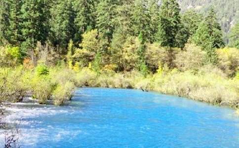 �����ľ�կ������600��-��������