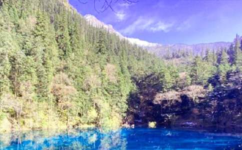 有關(guān)景色作文:神奇的九寨溝