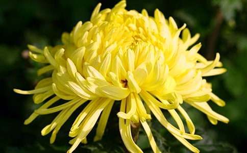 һ���ջ�����������700�֣�ͨ��23ƪ��