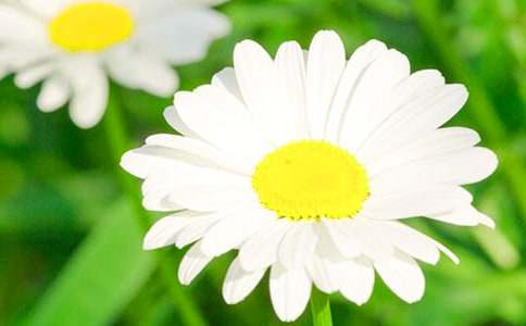 ���꼉�^��ջ�����