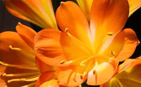 �����ľ����m����ͨ��9ƪ