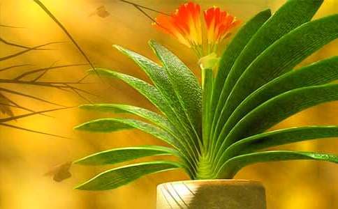 ����?sh��)���������m����