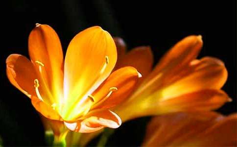 �����m����400��