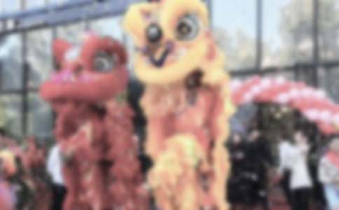 ��˾�_�I(y��)�c�����o�R�~��ͨ��12ƪ��