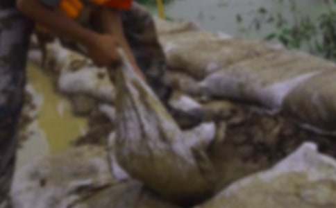 ���x����Ȟ�(z��i)���ӣ�ͨ��150�䣩