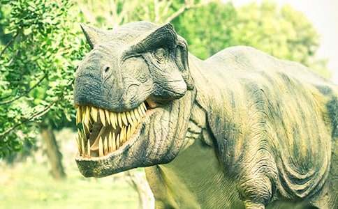 ϲ�g�����ĵܵ�����