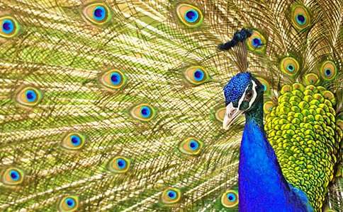 Ԣ�Թ��¾��x����ȸë�b��İ˸�