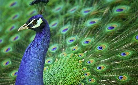 �����Ŀ�ȸ�~(y��)����8ƪ