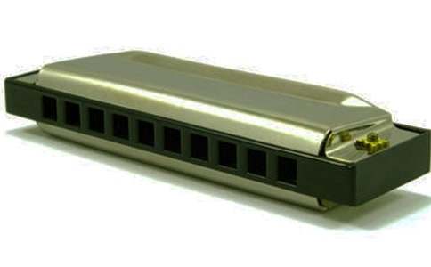 【精選】口琴作文300字四篇