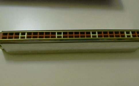 我的小口琴小學(xué)作文