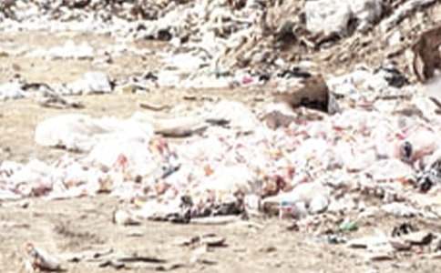 撿垃圾作文500字(精選50篇)