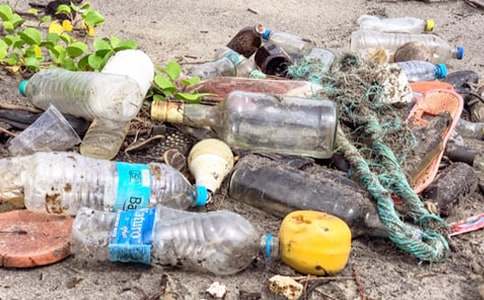 �����܇������ɽ������