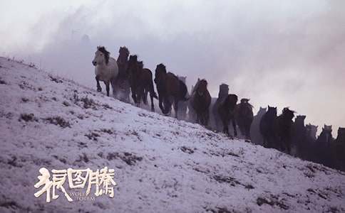 ���ǈD�v���x�������