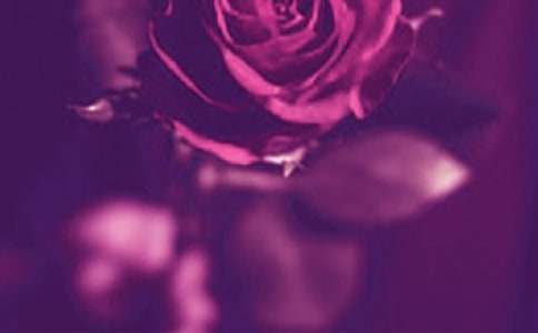 ���г�������800�֣����cӰ�ӵ�����