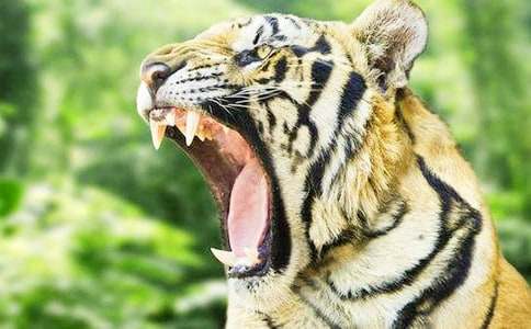 ���^���B�ϻ�������