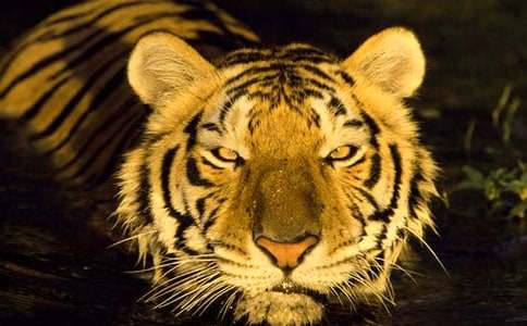 �����A���ϻ���ͯԒ����9ƪ