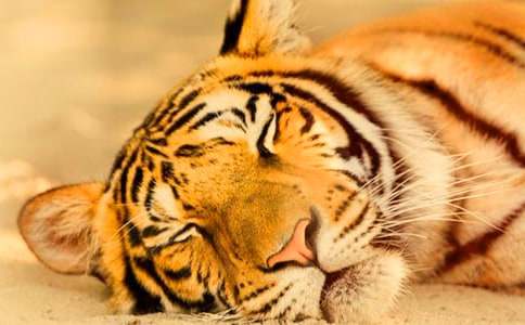 �����ϻ����ְ�����