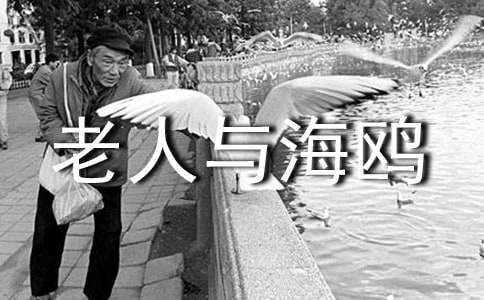 �������c���t����(y��u)��̰�