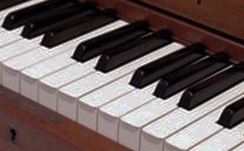 神奇的樂器作文500字