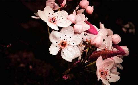 һ���滨һ����W(xu��)������900�֣����x15ƪ��