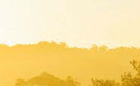 走過(guò)黑暗才能到達(dá)黎明初三作文