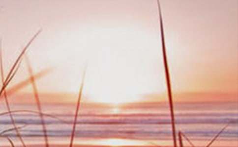 ��������600�֣�ͨ��9ƪ��