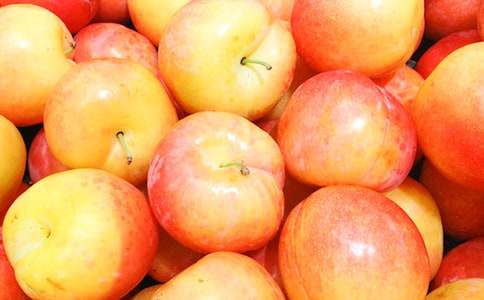 李子樹的精神的作文700字(通用12篇)