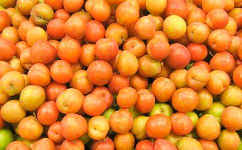 ������ͯԒ����