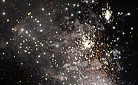 ���Y������