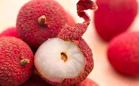 小學生觀察荔枝樹作文