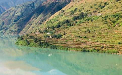 �������ų�����600��