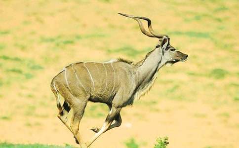 ������ľ����x�}����