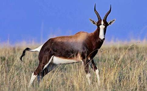 ����ľ���m(x��)��(���\15ƪ)