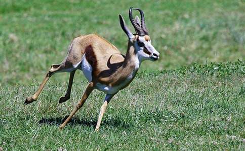 �����������{�ȡ���x��