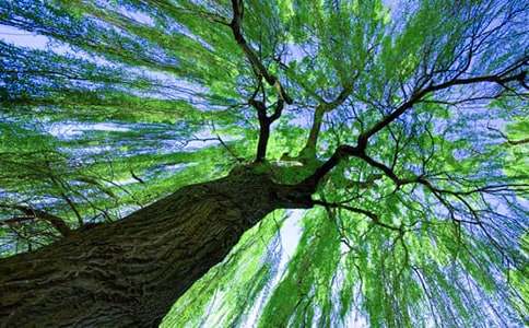 ��������������~�Z