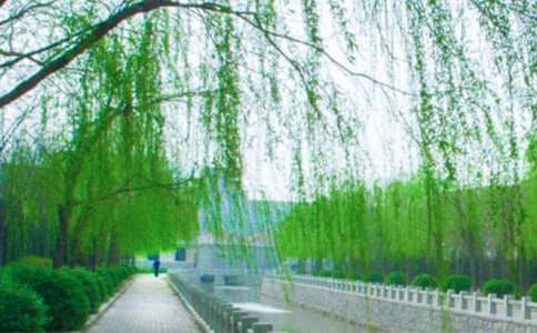 �^�����������200��