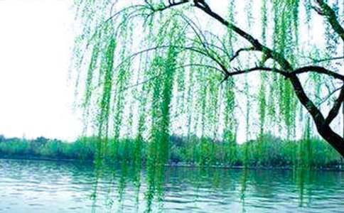 �����е��������900������