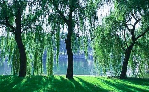 �^�����������400��