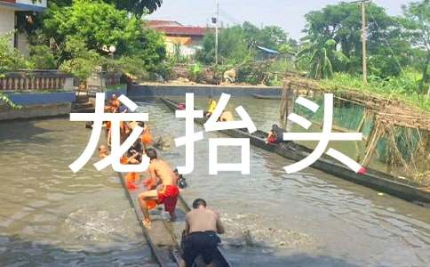 有關(guān)二月二龍?zhí)ь^習俗作文