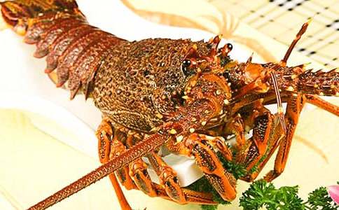 ����r����600�֣����x37ƪ��