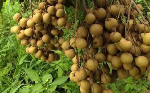 �Ґ���������400��