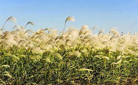 ��������һ���JȔ����