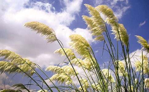 ���ϵ��JȔ�����~ӛ����