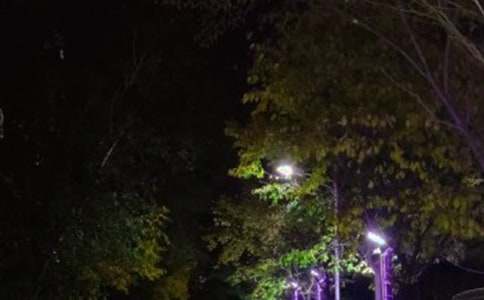 ����������Ӱ��������·����